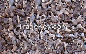 palm kernel shell