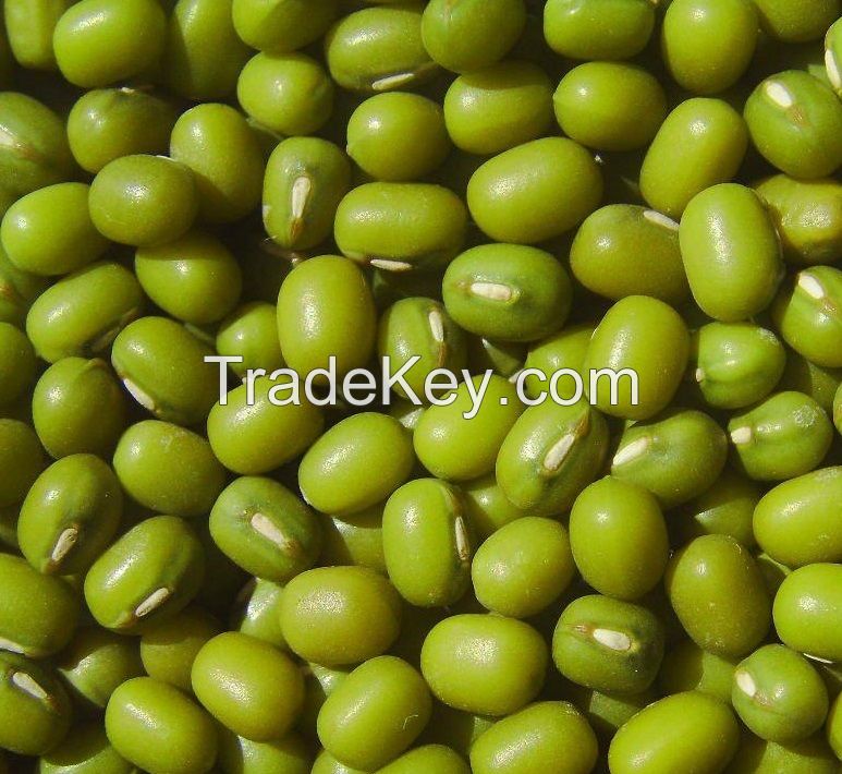 Green Mung beans