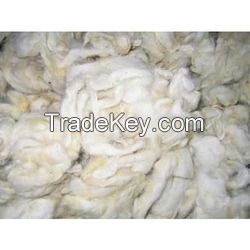 High quality washed sheep wool