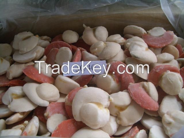 King Scallop Meat (Pecten Maximus)