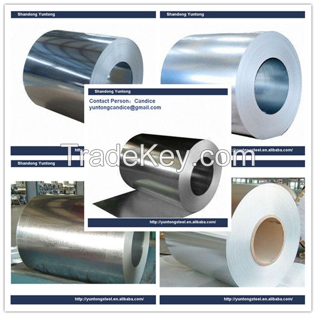 Galvanized Steel Coil