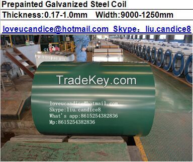 Color Coated Galvanized Steel Coil