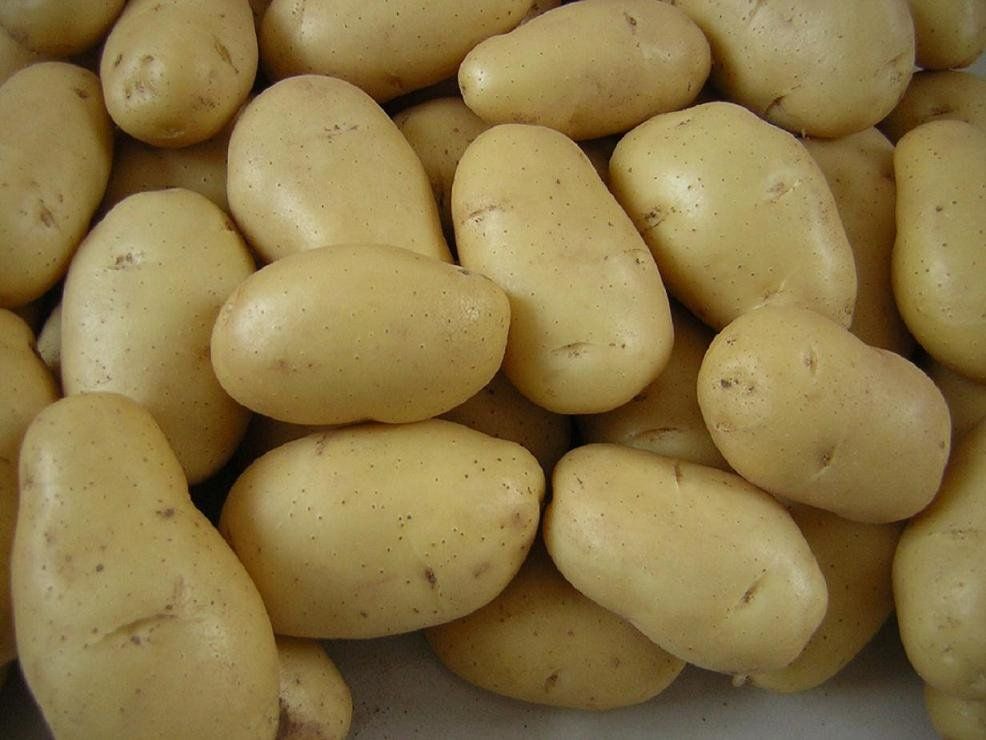 Fresh Potatoes