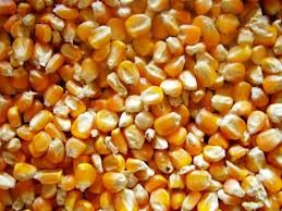 Yellow Maize Seeds, Isolated Soya Protein, Almonds, Soybean Meal