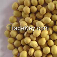 High protein Non GMO Soya Beans