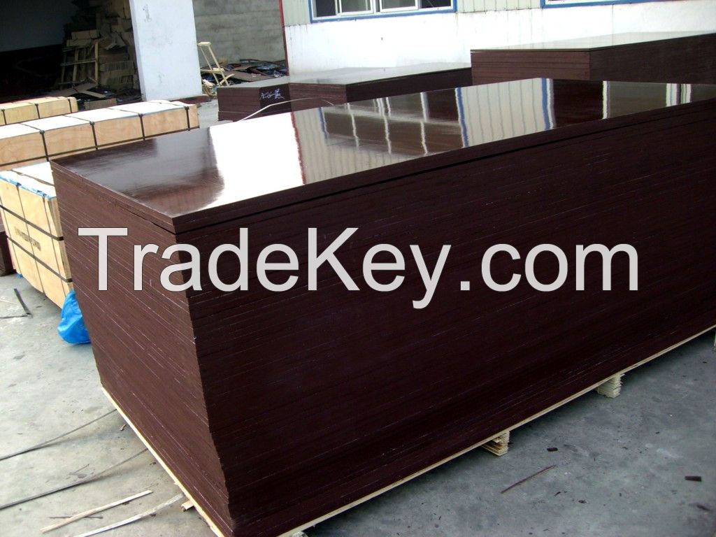 Sell high quality plywood, film faced plywood