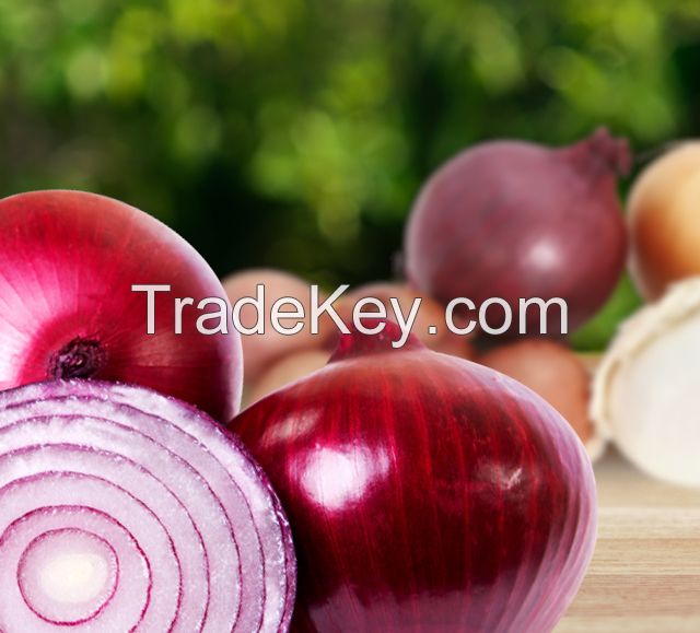 Hot Sale: Fresh Onions