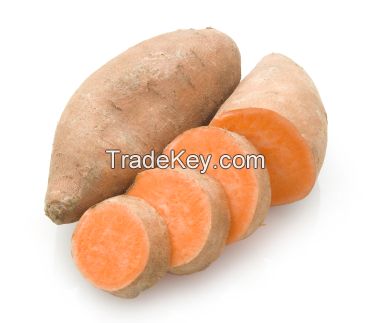 Hot Sale: Fresh Sweet Potatoes