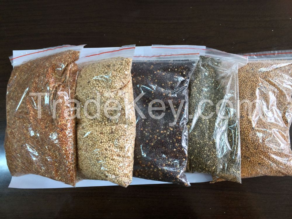 Red and Yellow Millet Seeds for sell