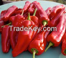 French Red Pepper