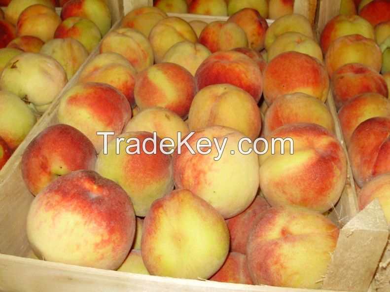 Fresh Pomegranates, Peaches, Avocado, Mango, Apples, Watermelon, Papaya, Pears Exporters Fresh fruits