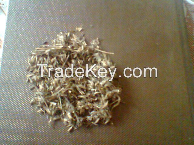Dinanath Grass / Forage / Fodder Seeds ( Pennis )