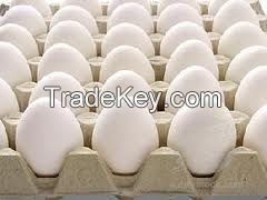 White Fresh Table eggs