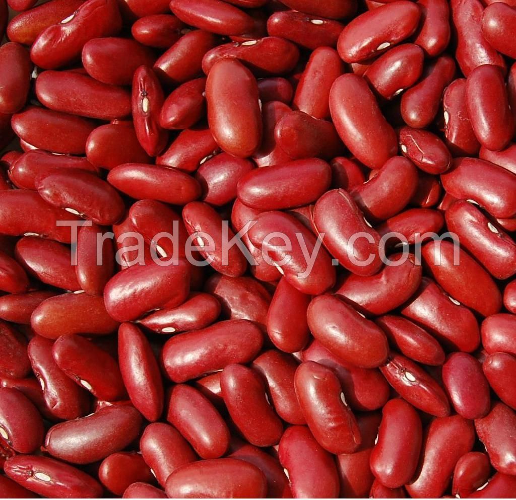 Dried Dark Red Kidney Bean