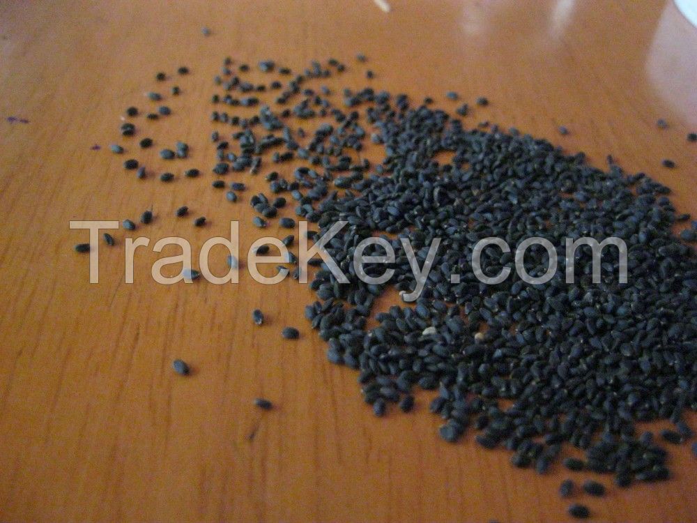 Basil Seeds (Tukmaria)