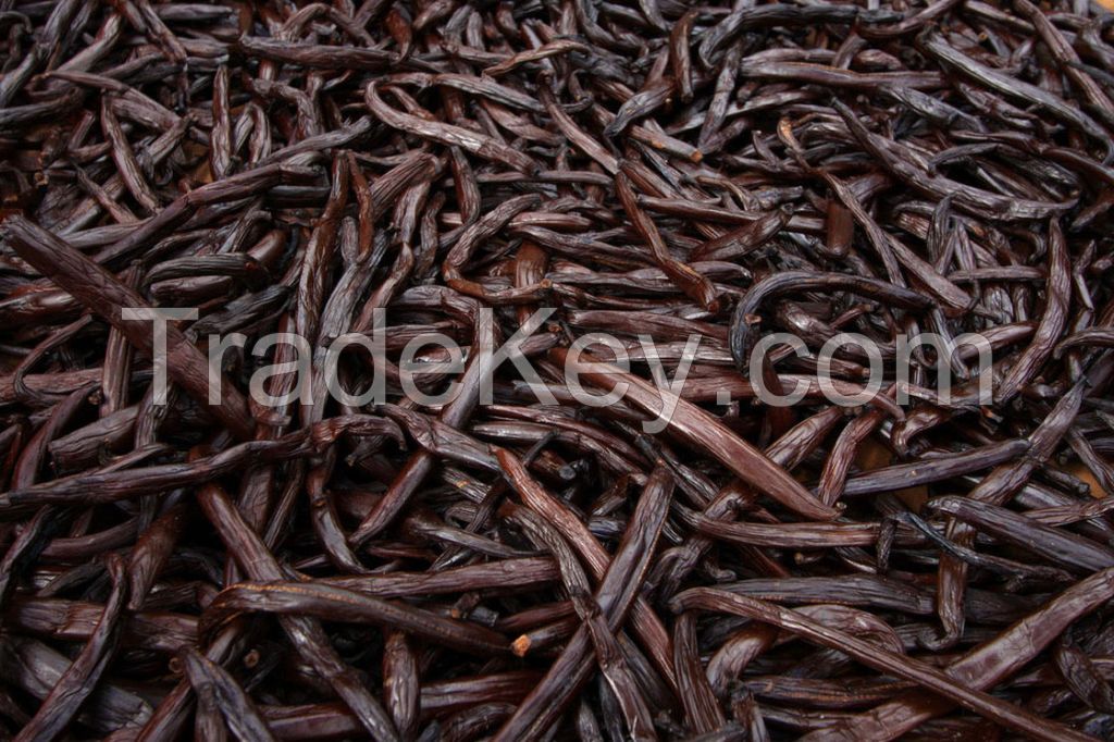 Grade A Vanilla Beans