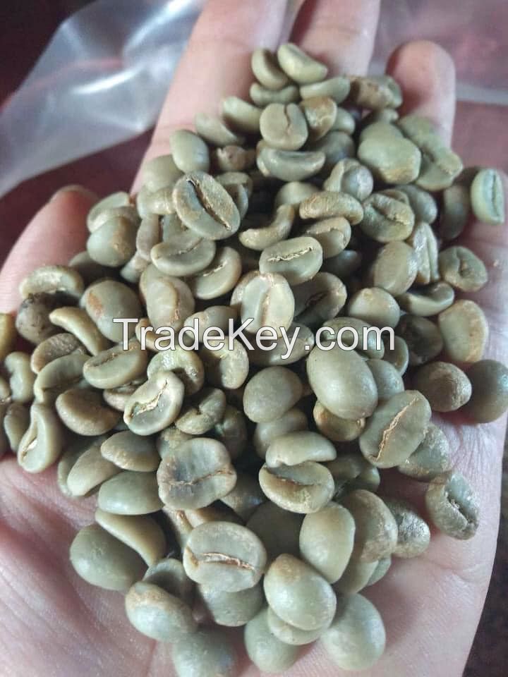 Limu Grade 2 Arabica Coffee at very cheap price