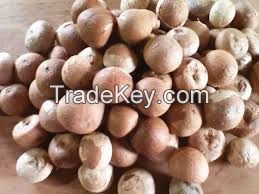 Whole Dried Betel Nut, Dried Split Betel Nut, Betel Nut for Sale
