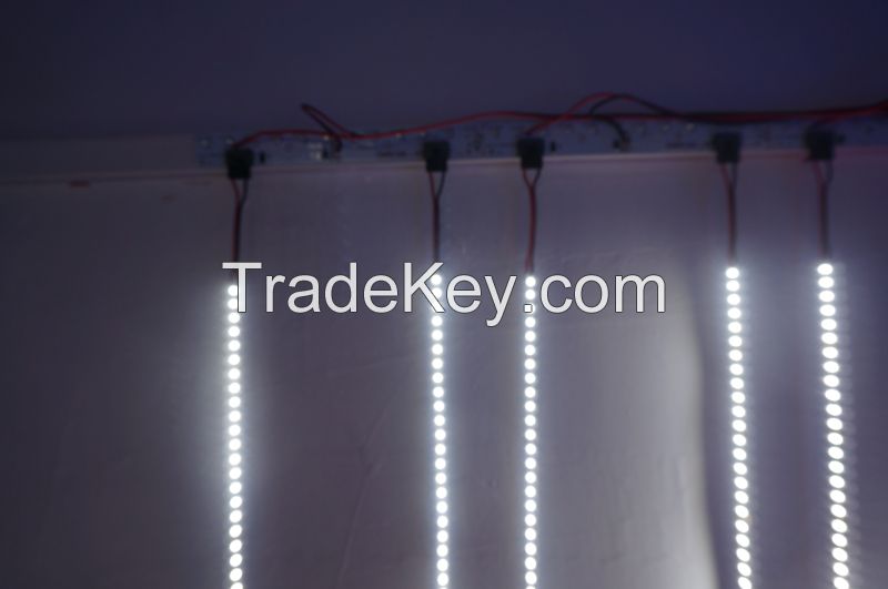 Sell SMD3528  120led/m LED strip light