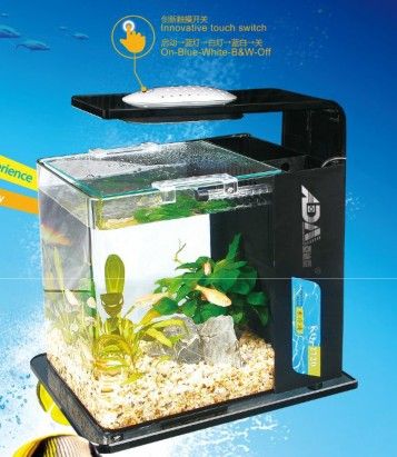 KQ small aquarium
