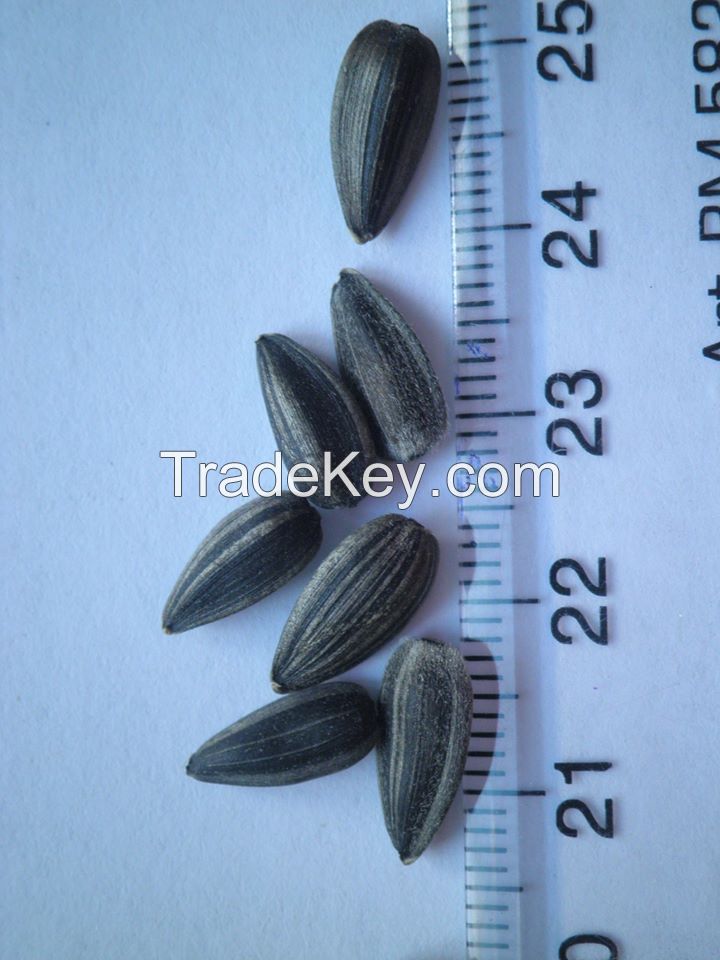 Sunflower Seeds/ husks/ kernels/ other