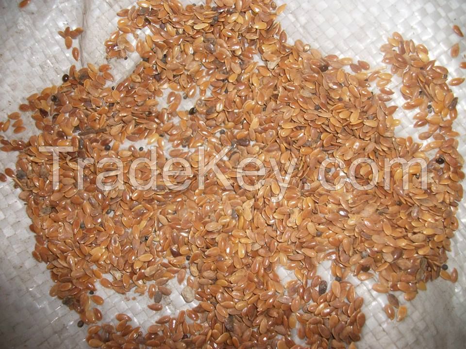 Yellow Flax seeds