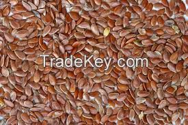 Brown flax seeds