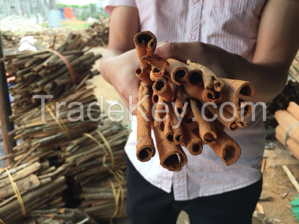 Finest Vietnam Cigarette Cinnamon cassia