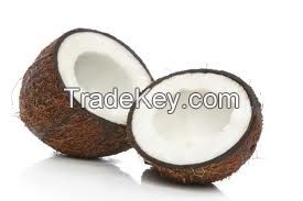 OFFER TO SELL FRESH COCONUTS