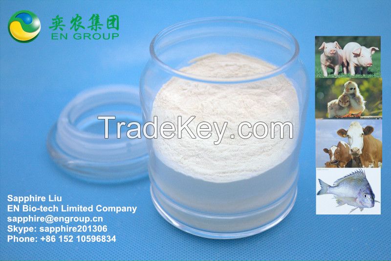 Feed enzymes manufacturer phytase