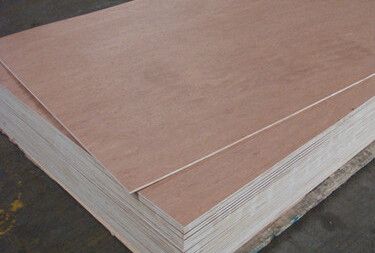 Bintangor plywood