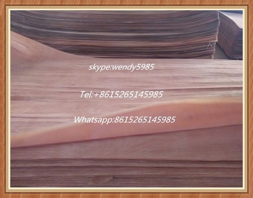 gurjan face veneer for plywood fo india