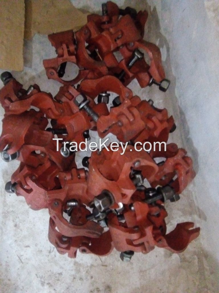 Sale offer of Scaffolding Clams