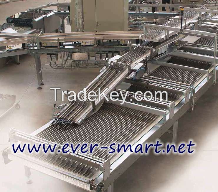 Biscuits Automatic Packaging Line