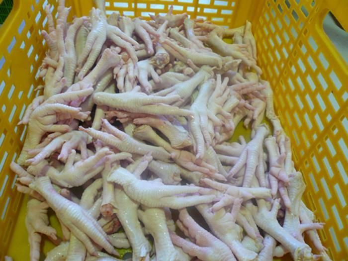 Processed Chicken Feet and Paw, Grade A