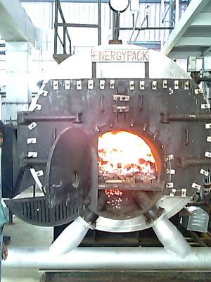 2000kg/hr coal/wood/briquette fired boiler