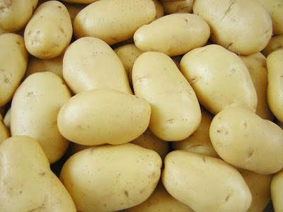 New Crop 2014 Fresh Potato Seeds for Sale