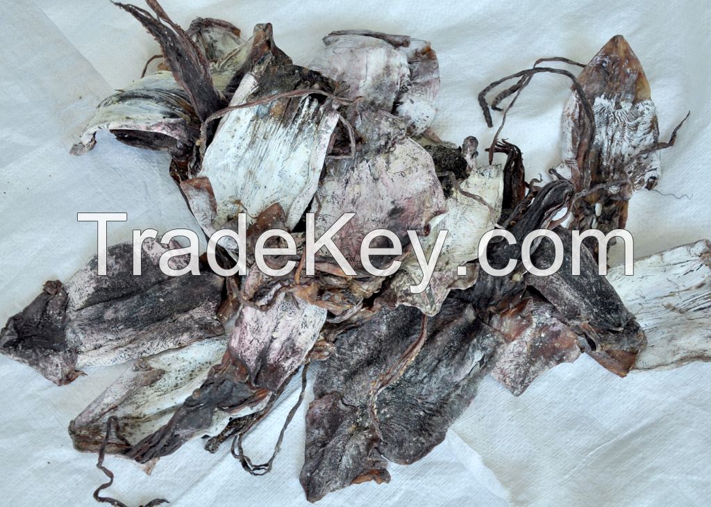 SELL DRIED BLACK SQUID