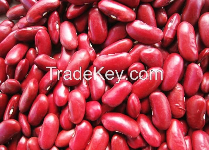 Red Kidney Beans