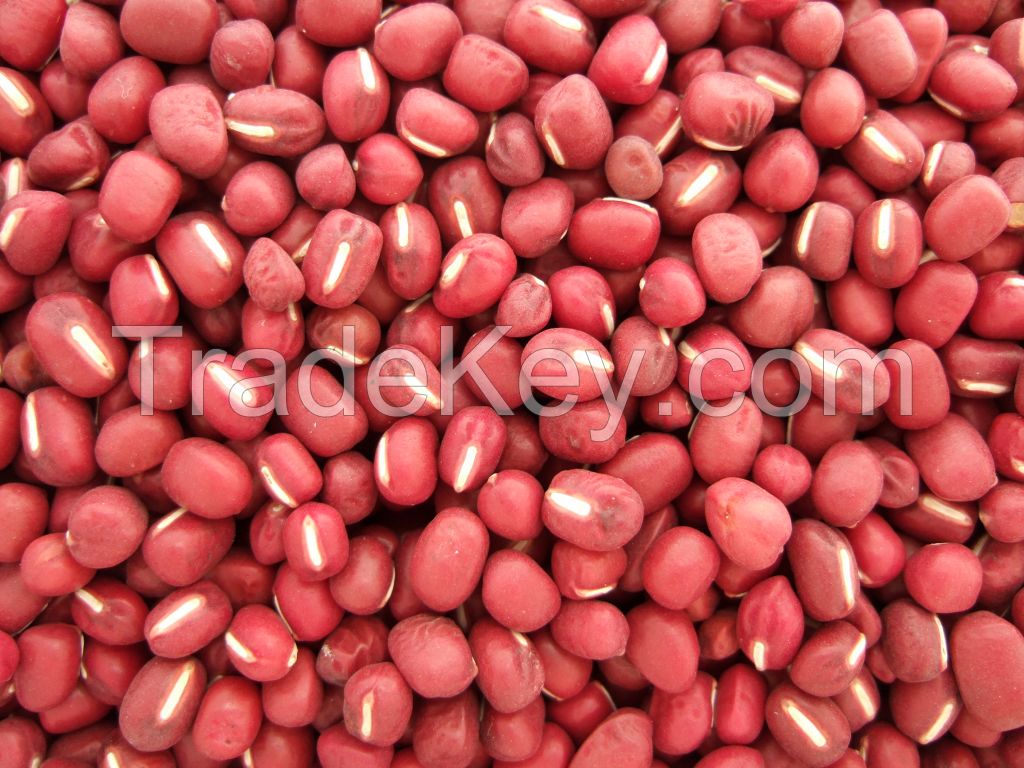 Vigna Beans