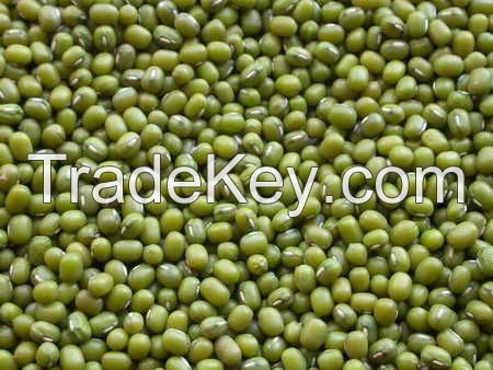 Grung Mung Beans