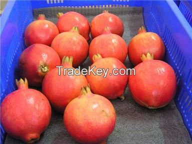 Fresh Pomegranates Fruits