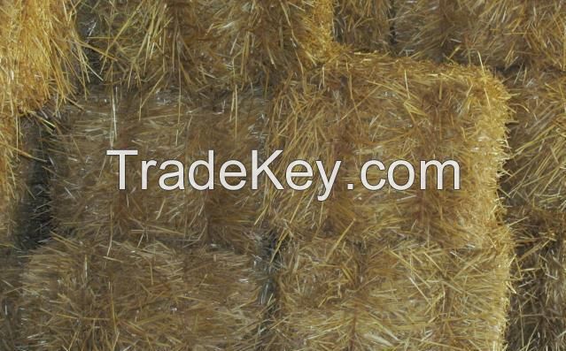 Wheat Straw Bales for Cattle Feeding