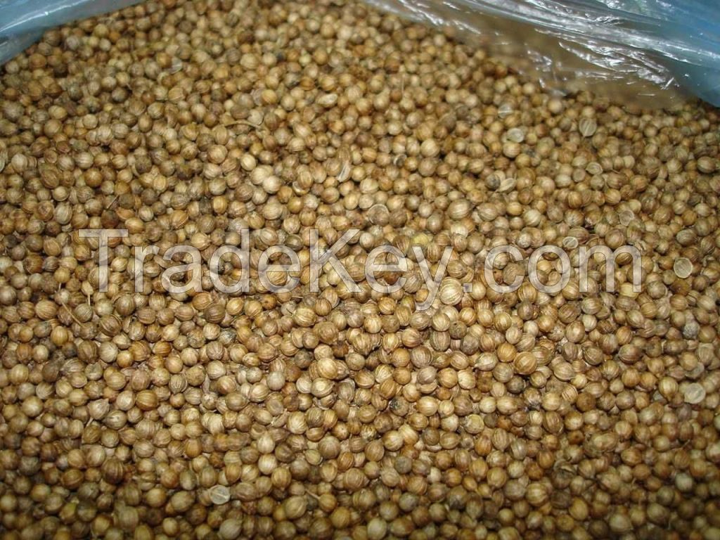 Coriander Seeds