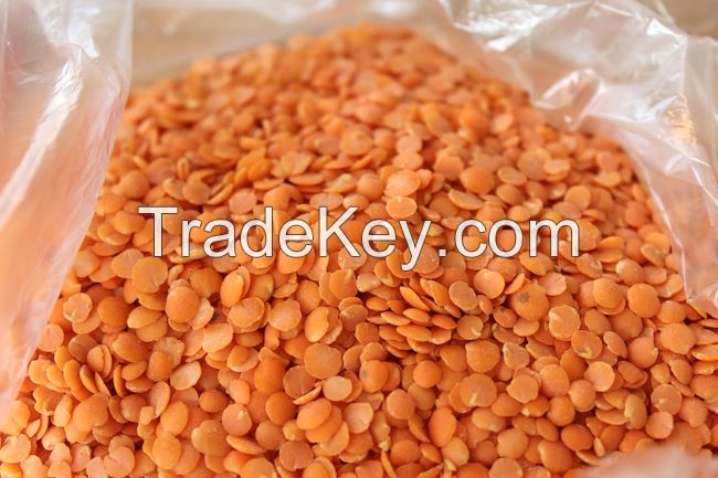 Red Split Lentils