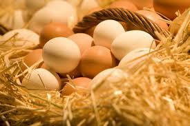 Fresh Chicken Eggs (brown and white)