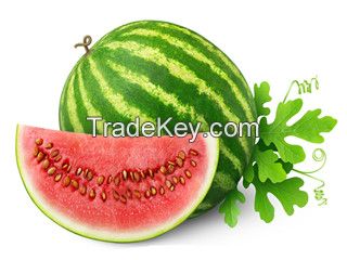 water melon fruit powder