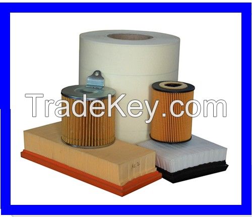 Car filter paper, popular in Iran market