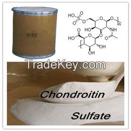 chondroitin sulfate  99%