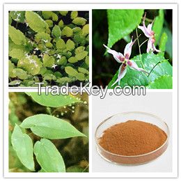 Epimedium Extract  Icariin 10%